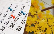 19 важных украинских праздников в ноябре: что будем отмечать, сколько отдыхать