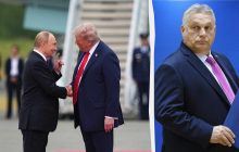 "Коту достали сливки": саммит Трампа и Путина у Орбана унизит Европу, - The Telegraph