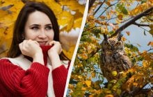 Багато свят і звичаїв: кого привітати і що зробити 20 жовтня 2025 року