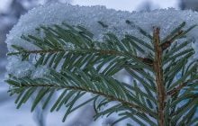 Синоптики предупредили о похолодании и мокром снеге в Киеве: когда будут осадки (график)