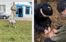 Партизанская война и "выживальщики": граждане Польши активно готовятся к войне с РФ