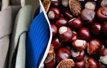 Два-три каштана в шкаф - и многолетняя проблема решится сама собой: о чем идет речь