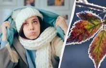 Заморозки не отпускают: названы области, где температура упадет до -5° (карта)