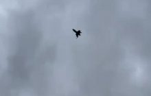 Украина запускает в серию убийцу "Шахедов" со скоростью более 300 км/ч (видео)