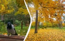 Завтра в Киев вернется 10-градусное тепло