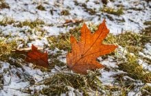 Зима напомнит о себе: синоптик предупреждает о снеге и морозах в Украине