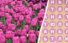 Тільки 2% людей знаходять слово "тюльпан" за 8 секунд: дивовижна головоломка