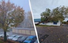 У Німеччині вирує винятковий шторм "Йошуа", дерева вириває з коренем (фото, відео)