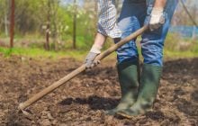 У якому разі город обов'язково потрібно перекопати під зиму, а коли - ні: від чого це залежить