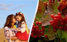 В Украине отмечают официальный праздник: что нужно сделать 27 октября 2025