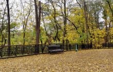 Напередодні вихідних Київ прогріється до +18°