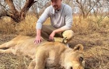 MrBeast попал в громкий скандал из-за видео о войне и львах из Украины: детали
