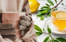 Диетолог рассказал, почему стоит пить зеленый чай с лимоном