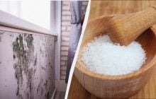 Если в квартире холодно и сыро без отопления: как убрать влагу народными средствами