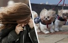 31 жовтня погоду в Києві зіпсує сильний вітер