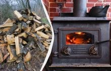 Можно топить печь сырыми дровами, чтобы они горели и не дымили: вот что нужно сделать