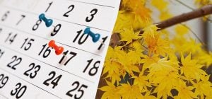19 важных украинских праздников в ноябре: что будем отмечать, сколько отдыхать
