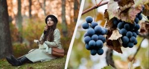 Чего нельзя делать родителям: запреты и обычаи в праздник 24 октября 2025