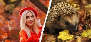 Сегодня поздравляем военных: какой праздник в Украине 29 октября 2025