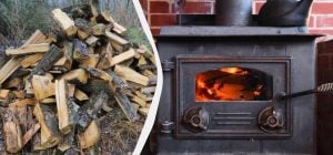 Можно топить печь сырыми дровами, чтобы они горели и не дымили: вот что нужно сделать