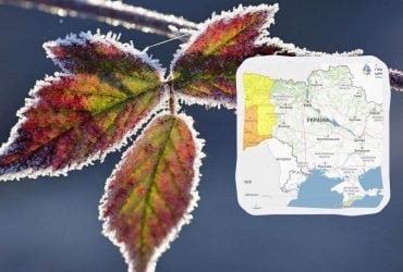 Украину накрывает новая волна заморозков: где будет минус (карта)