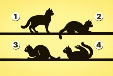 В чем ваше предназначение: быстрый тест даст ответы, которые изменят жизнь