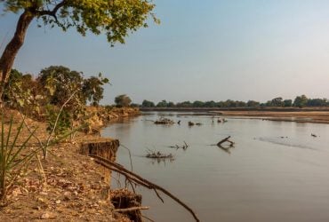 Не вижила жодна рослина: в одній з країн Африки сталася екологічна катастрофа