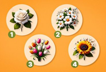 Что выбор цветов говорит о вашей личности: тест за 1 минуту определит ваш типаж