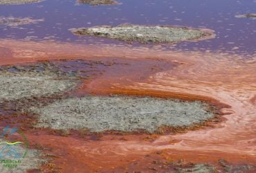 На Одещині озера перетворилися на марсіанські пейзажі (фото)