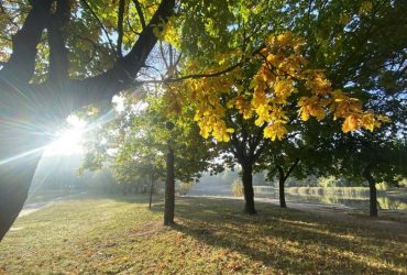 Сегодня в Киеве будет последний погожий день: впереди дожди и похолодание