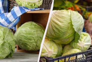 Капусту зберігаю до наступного літа в секретному місці: не в погребі й не в холодильнику