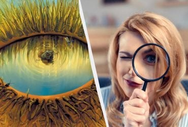 Что вы первое заметили на картинке: увиденное раскроет ваше главное достоинство