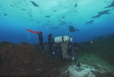 Ученые обнаружили нечто тревожное и опасное, просачивающееся из-под океана вокруг Антарктиды