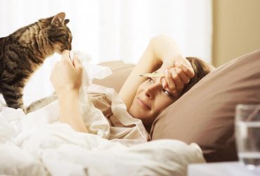 Чи може кішка відчути, коли ви хворі: відповідь ветеринарів вас здивує