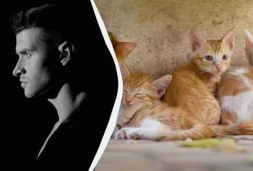 Учёные раскрыли мрачную правду о тех, кто не любит животных: это не просто равнодушие