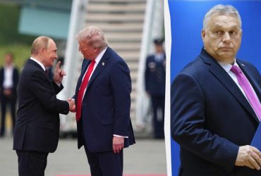 Коту достали сливки: саммит Трампа и Путина у Орбана унизит Европу, - The Telegraph