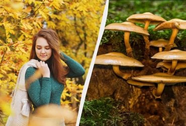Кого треба привітати і про що помолитися 19 жовтня: традиції у свято сьогодні