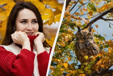 Багато свят і звичаїв: кого привітати і що зробити 20 жовтня 2025 року