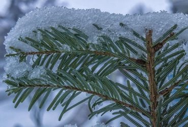 Синоптики предупредили о похолодании и мокром снеге в Киеве: когда будут осадки (график)