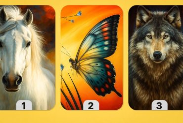 Выбор животного расскажет, что вам делать: персональный совет от судьбы