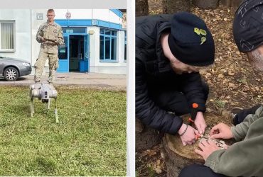 Партизанская война и выживальщики: граждане Польши активно готовятся к войне с РФ