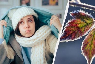 Заморозки не отпускают: названы области, где температура упадет до -5° (карта)