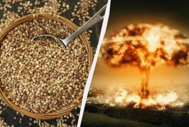 Россия делает большие запасы гречки: эксперт назвал неожиданную причину