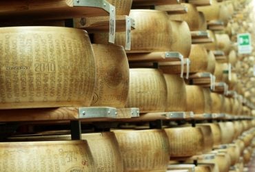 Спека в Італії загрожує виробництву одного з найвідоміших сирів: фермери б’ють на сполох