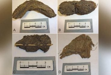 Ученые изучили экскременты возрастом 1300 лет и были удивлены тем, что в них нашли