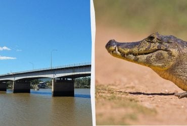 В Австралии реку с крокодилами одобрили для олимпийских соревнований