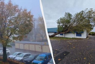 В Германии бушует исключительный шторм "Йошуа", деревья вырывает с корнем (фото, видео)