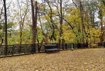 Перед выходными Киев прогреется до +18°