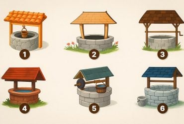 В какой колодец вы бы заглянули: поразительно точный тест на личность