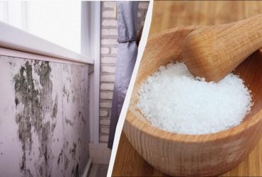 Если в квартире холодно и сыро без отопления: как убрать влагу народными средствами